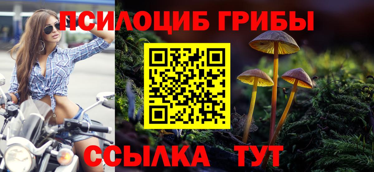 Прокопьевск  Псилоцибиновые грибы Psilocybine cubensis  Вход с VPN 