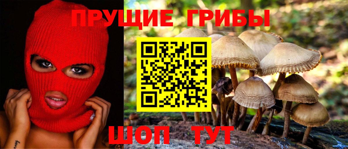 Галлюциногенные грибы прущие грибы Прокопьевск
